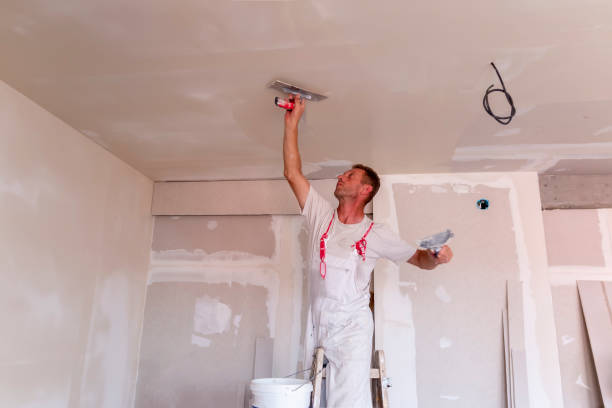 Best New Construction Drywall  in Ferrysburg, MI